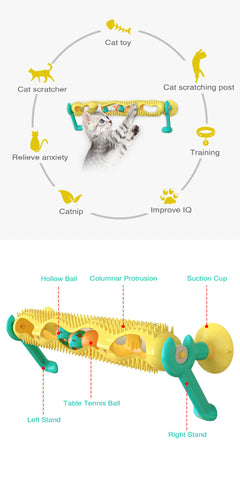 Amazon Bestselling Cat Puzzle Toy with Track Ball